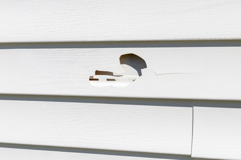 Vinyl Siding Repair Installation - Image 1