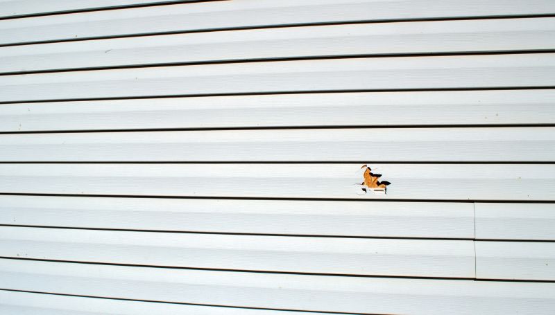 Siding Repair Specialist